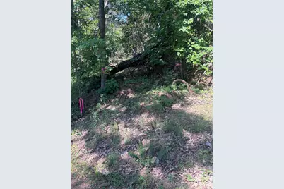 137 Napa Drive, Rutherfordton, NC 28139 - Photo 8