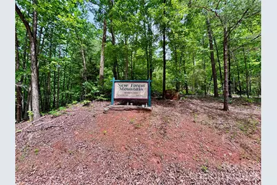 350 Springvalley Drive, Rutherfordton, NC 28139 - Photo 12
