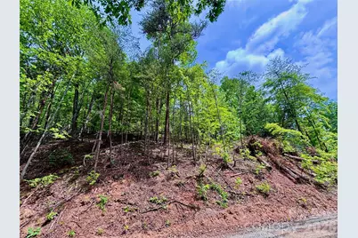 350 Springvalley Drive, Rutherfordton, NC 28139 - Photo 8
