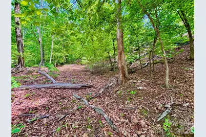 350 Springvalley Drive, Rutherfordton, NC 28139 - Photo 2