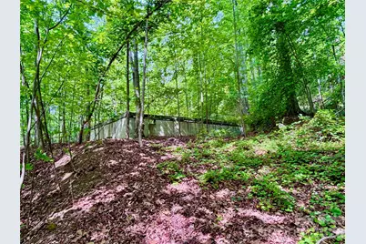 350 Springvalley Drive, Rutherfordton, NC 28139 - Photo 4