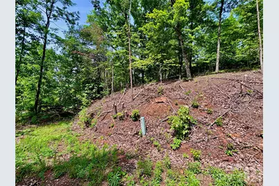 350 Springvalley Drive, Rutherfordton, NC 28139 - Photo 1