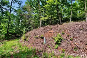 350 Spring Valley Dr, Rutherfordton, NC 28139 - Photo 1
