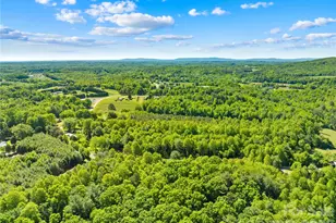 251 Center Ln, Thurmond, NC 28683 - Photo 36