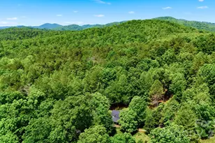 3497 Blue Creek Rd, Lenoir, NC 28645 - Photo 42