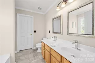 11229 Palomar Mountain Dr, Charlotte, NC 28278 - Photo 10