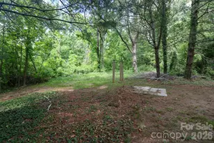 131 Upper Grassy Branch Rd, Asheville, NC 28805 - Photo 2