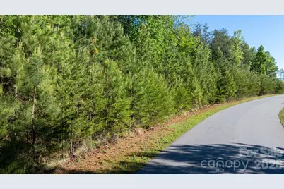 3030 Channel View Cove, Morganton, NC 28655 - Photo 6