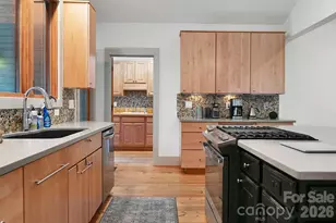 49 Miner St, Brevard, NC 28712 - Photo 12