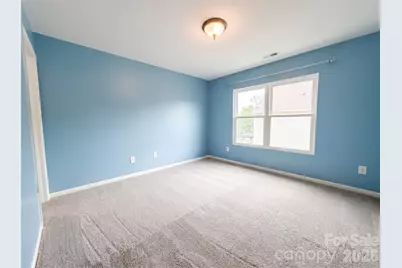 221 Sycamore Creek Road, Fort Mill, SC 29708 - Photo 12