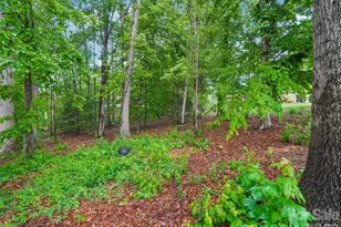 38 Forest Knoll Dr, Weaverville, NC 28787 - Photo 46