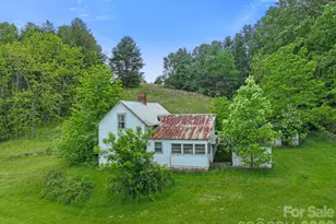 52 Will Smith Ln, Leicester, NC 28748 - Photo 30
