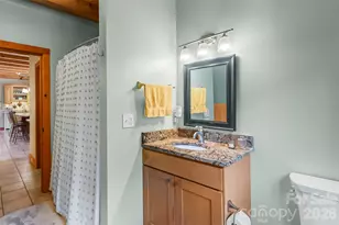 482 Gap Creek Rd, Zirconia, NC 28790 - Photo 10