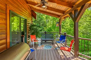 482 Gap Creek Rd, Zirconia, NC 28790 - Photo 32
