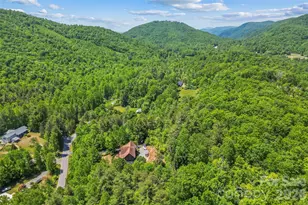 482 Gap Creek Rd, Zirconia, NC 28790 - Photo 44
