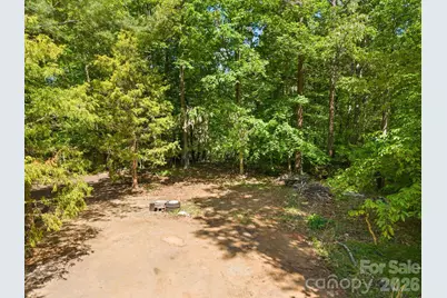 31 White Bridge Road, Weaverville, NC 28787 - Photo 8