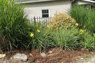 12 Penley Ave, Asheville, NC 28804 - Photo 34