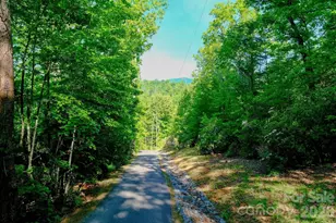 3815 Bat Cave Rd, Old Fort, NC 28762 - Photo 36