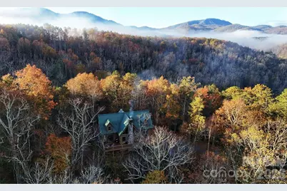 3815 Bat Cave Road, Old Fort, NC 28762 - Photo 44