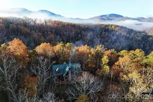 3815 Bat Cave Rd, Old Fort, NC 28762 - Photo 44