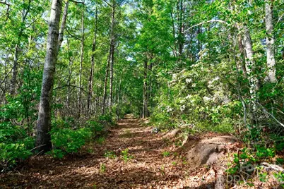 3815 Bat Cave Road, Old Fort, NC 28762 - Photo 40