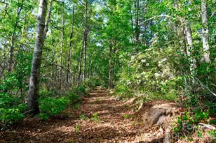 3815 Bat Cave Rd, Old Fort, NC 28762 - Photo 40