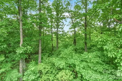 3190 Holly Road, Connelly Springs, NC 28612 - Photo 8