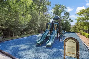 729 Little Bluestem Dr, Clover, SC 29710 - Photo 32
