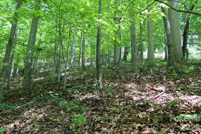 7 Hallaran Drive #PT 3, Marshall, NC 28753 - Photo 14