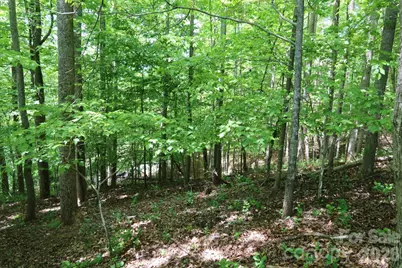 7 Hallaran Drive #PT 3, Marshall, NC 28753 - Photo 16