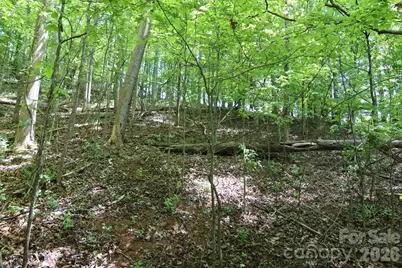 7 Hallaran Drive #PT 3, Marshall, NC 28753 - Photo 8
