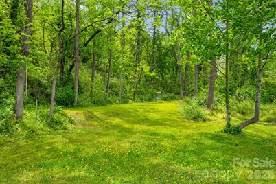 2956 New Leicester Highway, Leicester, NC 28748 - Photo 28