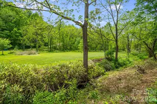 2956 New Leicester Hwy, Leicester, NC 28748 - Photo 26