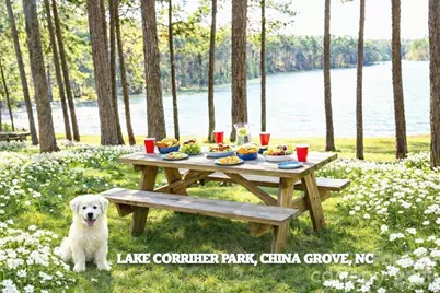 55 Elizabeth Street, China Grove, NC 28023 - Photo 38