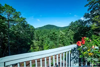 36 Lynx Drive, Black Mountain, NC 28711 - Photo 4