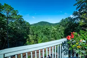 36 Lynx Dr, Black Mountain, NC 28711 - Photo 4