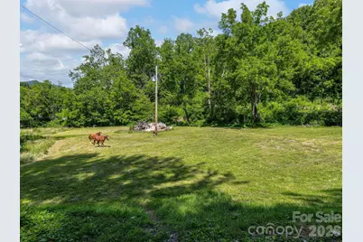 181 Harley Davidson Drive, Canton, NC 28716 - Photo 4