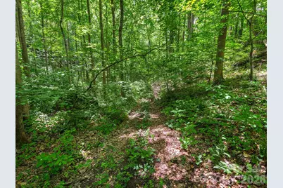 181 Harley Davidson Drive, Canton, NC 28716 - Photo 16