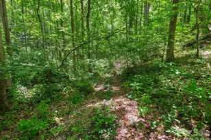 181 Harley Davidson Dr, Canton, NC 28716 - Photo 16
