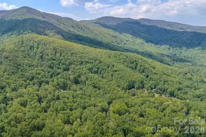 263 Mockingbird Road #2, Swannanoa, NC 28778 - Photo 8