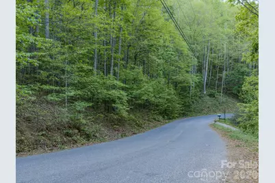 259 Mockingbird Road #1, Swannanoa, NC 28778 - Photo 2