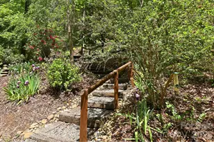 302 Rich Mountain Rd, Flat Rock, NC 28731 - Photo 8