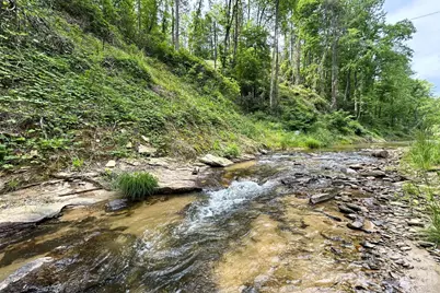 302 Rich Mountain Road, Flat Rock, NC 28731 - Photo 42