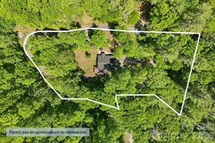 302 Rich Mountain Rd, Flat Rock, NC 28731 - Photo 40