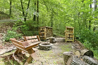 302 Rich Mountain Road, Flat Rock, NC 28731 - Photo 40