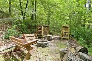 302 Rich Mountain Rd, Flat Rock, NC 28731 - Photo 40