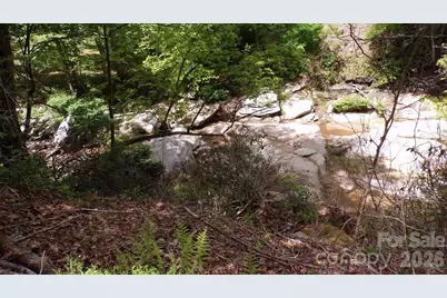 216 Paradise Road, Hendersonville, NC 28792 - Photo 1