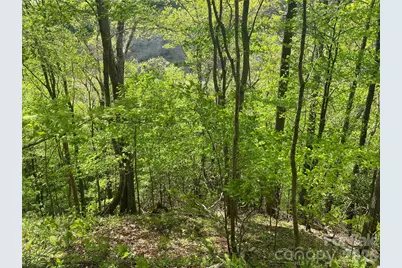 Tbd US 23 Highway, Mars Hill, NC 28754 - Photo 16