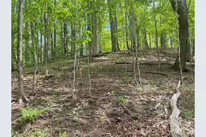 Tbd US 23 Highway, Mars Hill, NC 28754 - Photo 8