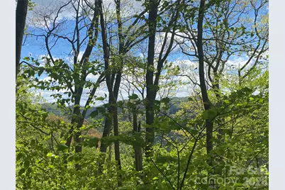 Tbd US 23 Highway, Mars Hill, NC 28754 - Photo 6